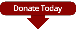 donate-today-mobile-2