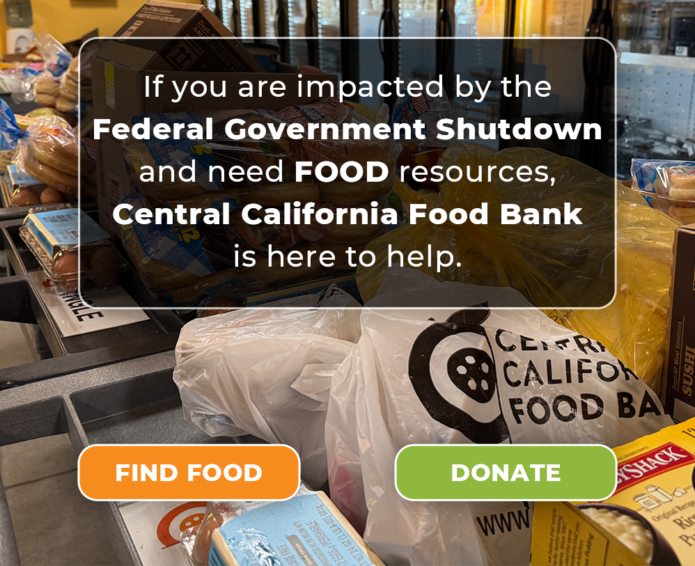 Government Shutdown Emergency Response Plans